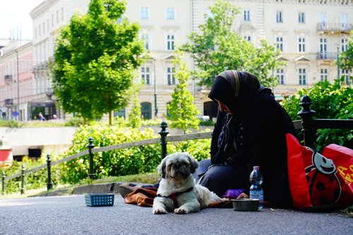 A person with a dog sits on a city street.