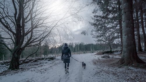 person in black jacket walking on snow covered ground